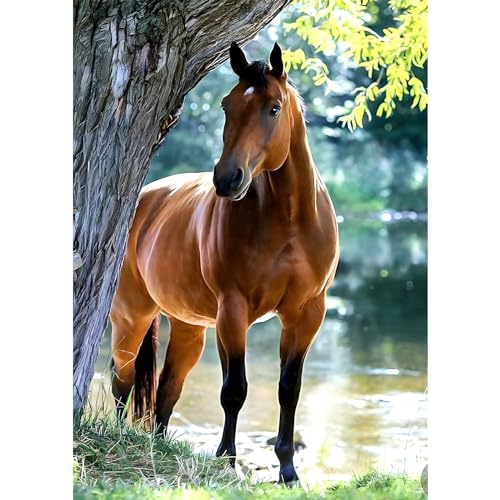 MXJSUA Diamond Painting Erwachsene, Pferd am See Diamant Painting Bilder 30x40cm 5d Diamond-Painting Geeignet Als Geschenk, Zur Entspannung und Als Wanddeko MXJSUA Diamond Painting Erwachsene, Pferd am See Diamant Painting Bilder 30x40cm 5d Diamond-Painting Geeignet Als Geschenk, Zur Entspannung und Als Wanddeko von MXJSUA