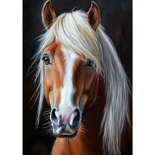 MXJSUA Diamant Painting Bilder, Braunes Pferd Diamond Painting für Erwachsene Anfänger, 5D DIY Diamant Malerei für Zuhause Dekor 30x40 cm MXJSUA Diamant Painting Bilder, Braunes Pferd Diamond Painting für Erwachsene Anfänger, 5D DIY Diamant Malerei für Zuhause Dekor 30x40 cm von MXJSUA