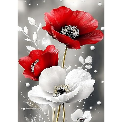 MXJSUA Diamant Painting Bilder, Mohnblumen Diamond Painting für Erwachsene Anfänger, 5D DIY Diamant Malerei für Zuhause Dekor 30x40 cm von MXJSUA