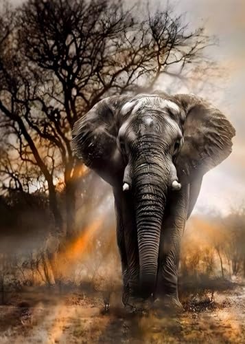MXJSUA Diamond Painting Erwachsene Elefant - 5D Diamant Painting Bilder Tiere, Malerei Set Mit Sonnenuntergang 30x40 cm für Wanddekoration von MXJSUA