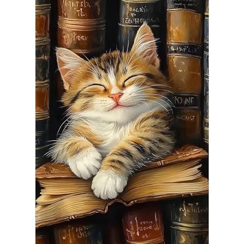 MXJSUA Diamond Painting Set, Flauschige Katze 5D Diamant Painting Bilder 30x40 cm mit Diamond Painting Zubehör für Erwachsene, Crystal Art Wand Deko MXJSUA Diamond Painting Set, Flauschige Katze 5D Diamant Painting Bilder 30x40 cm mit Diamond Painting Zubehör für Erwachsene, Crystal Art Wand Deko von MXJSUA