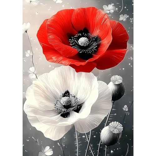 MXJSUA Mohnblumen Diamond Painting Erwachsene, 5D Diamant Painting Bilder Anfänger, DIY Runder Vollbohrer Diamanten Malerei Stickerei Kreuzstich Geschenke Home Wand Dekor 30x40cm von MXJSUA