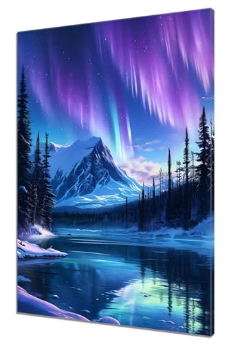 Malen Nach Zahlen Erwachsene Nordlichter Malen Nach Zahlen Landschaft Kinder Anfänger mit Leinwand Pinseln Acrylpigment Paint by Numbers, Malen nach Zahlen für Geschenke, Home Haus Deko (40x50cm) Q-6 von MXRUOO