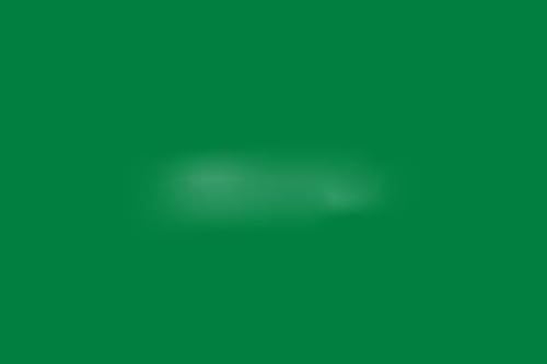 MYXJX Stuhl Schärpen, Stuhlschärpen, Doppellagiges Stuhlband, Spandex-Stuhlschärpe mit Schleife, Stuhlbezug, Hochzeits-, Event-, Party- und Weihnachtsdekoration, 10 Stück(Green) von MYXJX