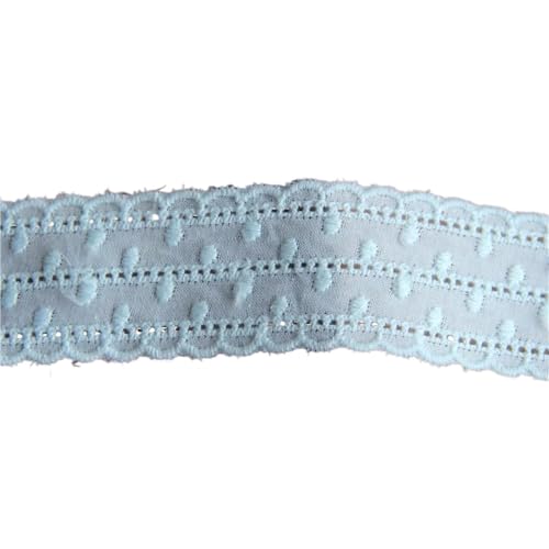 Baumwolltuch Bilaterale Stickerei Spitzenbesatz Rand DIY Rock Damen Kleidung Kleid Heimtextilien 3CM breit(Sky blue,15Yard) von MZPOZB