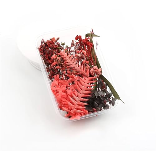 Gepresste Blumen 2 Box künstliche Pflanzen natürliche echte getrocknete Blumen for Kerzenform Epoxidharz DIY Herstellung Dekoration Wohnaccessoires Handwerk FüR AlltäGliche Heimdekoration(Color-19) Gepresste Blumen 2 Box künstliche Pflanzen natürliche echte getrocknete Blumen for Kerzenform Epoxidharz DIY Herstellung Dekoration Wohnaccessoires Handwerk FüR AlltäGliche Heimdekoration(Color-19) von MZYFDC