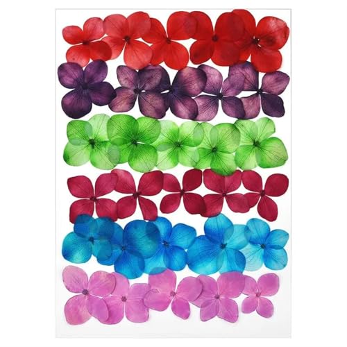 Gepresste Blumen Getrocknete Blumen for DIY-Kunsthandwerk, Epoxidharz, Kerzenherstellung, ewige Blumen, Lesezeichen, gepresste Blumen, Heimdekoration, Kunsthandwerk FüR AlltäGliche Heimdekoration(Drie Gepresste Blumen Getrocknete Blumen for DIY-Kunsthandwerk, Epoxidharz, Kerzenherstellung, ewige Blumen, Lesezeichen, gepresste Blumen, Heimdekoration, Kunsthandwerk FüR AlltäGliche Heimdekoration(Drie von MZYFDC
