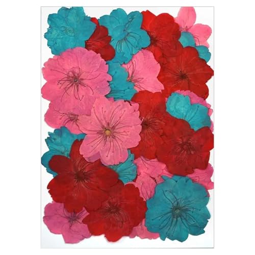Gepresste Blumen Getrocknete Blumen for DIY-Kunsthandwerk, Epoxidharz, Kerzenherstellung, ewige Blumen, Lesezeichen, gepresste Blumen, Heimdekoration, Kunsthandwerk FüR AlltäGliche Heimdekoration(Drie Gepresste Blumen Getrocknete Blumen for DIY-Kunsthandwerk, Epoxidharz, Kerzenherstellung, ewige Blumen, Lesezeichen, gepresste Blumen, Heimdekoration, Kunsthandwerk FüR AlltäGliche Heimdekoration(Drie von MZYFDC