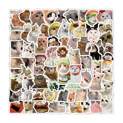 100 Stück lustige Katzen-Aufkleber-Set, niedliche Katzen-Aufkleber, Katzenaufkleber für Teenager, Mädchen, Laptop, Computer, Skateboard, Gitarre, Handyhülle, Kühlschrank von Maciun