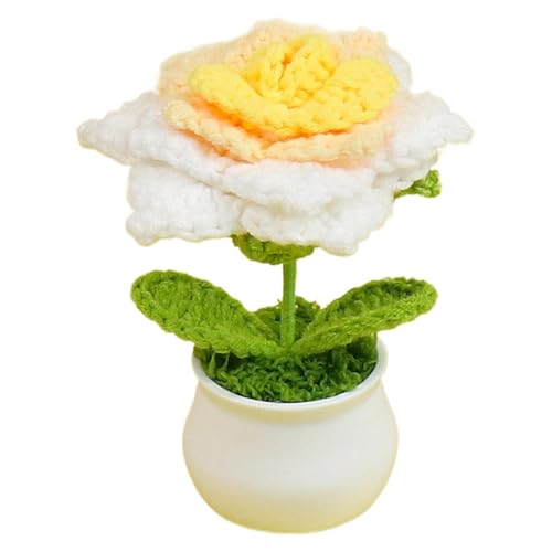 Maciun Häkelblume | Handgefertigte gestrickte Rosen, gehäkelte Topfpflanzen, Blumenhäkel-Schreibtischdekorationen, Farbverlauf, bunte kleine Topfpflanzen, Schreibtischblumen für Mutter, Frau Maciun Häkelblume | Handgefertigte gestrickte Rosen, gehäkelte Topfpflanzen, Blumenhäkel-Schreibtischdekorationen, Farbverlauf, bunte kleine Topfpflanzen, Schreibtischblumen für Mutter, Frau von Maciun