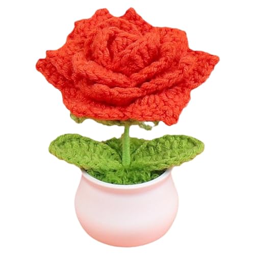 Maciun Häkelblumen, gehäkelte Topfpflanzen, Strickblumen, Schreibtisch-Dekorationen, Farbverlauf, bunte kleine Topfpflanzen, Schreibtischblumen für Mutter, Frau Maciun Häkelblumen, gehäkelte Topfpflanzen, Strickblumen, Schreibtisch-Dekorationen, Farbverlauf, bunte kleine Topfpflanzen, Schreibtischblumen für Mutter, Frau von Maciun