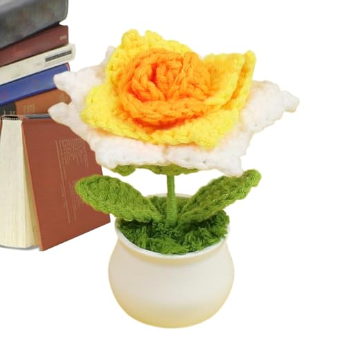 Maciun Häkelblumen | Handgefertigte gestrickte Rosen, gehäkelte Topfpflanzen – Blumenhäkel-Schreibtischdekorationen, Farbverlauf, bunte kleine Topfpflanzen, Schreibtischblumen für Mutter, Frau Maciun Häkelblumen | Handgefertigte gestrickte Rosen, gehäkelte Topfpflanzen – Blumenhäkel-Schreibtischdekorationen, Farbverlauf, bunte kleine Topfpflanzen, Schreibtischblumen für Mutter, Frau von Maciun