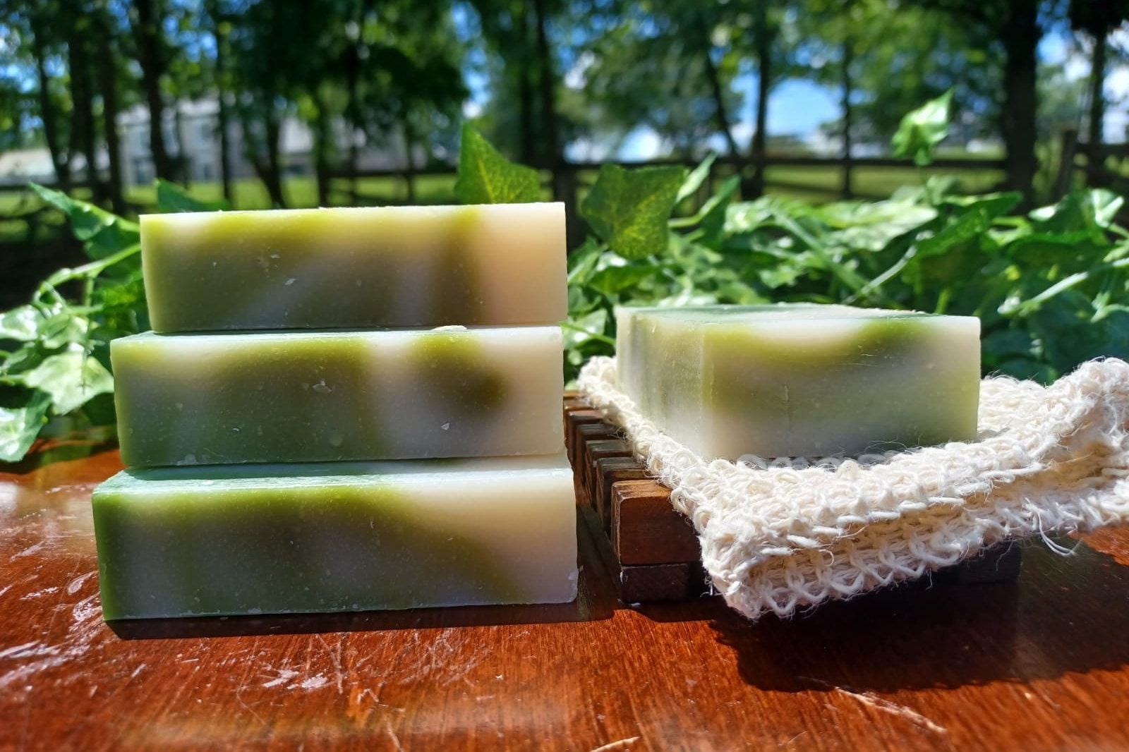 Feuchtigkeitsspende Apotheker Seife Bar/Natur & Handgefertigt Madi Weiß Tee Minze Feuchtigkeitsspende Apotheker Seife Bar/Natur & Handgefertigt Madi Weiß Tee Minze von MadisSoapandSuch