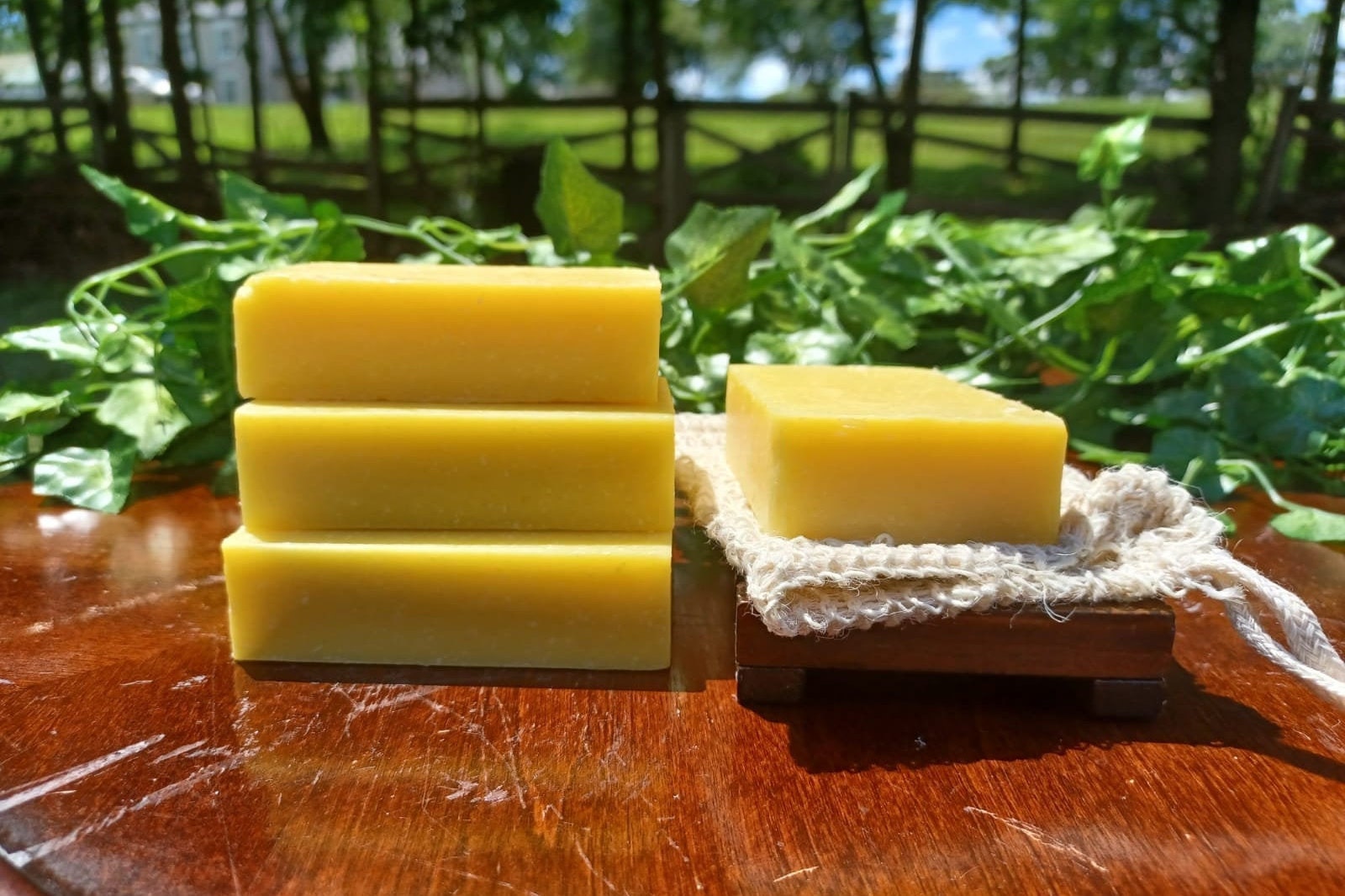 Reinigung & Peeling Bar Seife/Ethisch Und Natürlich Gemacht Madi Zitrone Zest Scrub Reinigung & Peeling Bar Seife/Ethisch Und Natürlich Gemacht Madi Zitrone Zest Scrub von MadisSoapandSuch