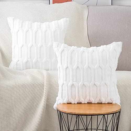 Madizz 2er Set Sanft Plüsch Kurze Wolle Samt Dekorativ Zierkissenbezüge Luxus Stil Kissenbezug für Sofa für Schlafzimmer Weiß 30x30 cm Quadrat von Madizz
