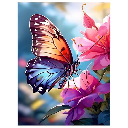 Mafenr Art Diamond Painting Erwachsene Set, Schmetterling Diamant Painting Bilder, Mosaikherstellung für Geschenke und Familie Décor 30x40cm Mafenr Art Diamond Painting Erwachsene Set, Schmetterling Diamant Painting Bilder, Mosaikherstellung für Geschenke und Familie Décor 30x40cm von Mafenr Art