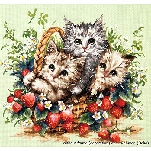 Magic Needle 58-12 Süße Kätzchen, Kreuzstichset mit Zählmuster, Baumwolle, mehrfarbig, 35 x 31 cm von Magic Needle