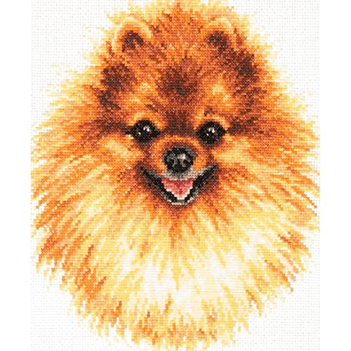 Magic Needle 59-22 ZW Pommerschen Kreuzstichset mit Zählmuster Zweigart Edition, Baumwolle, multifarbig, 22x25cm Magic Needle 59-22 ZW Pommerschen Kreuzstichset mit Zählmuster Zweigart Edition, Baumwolle, multifarbig, 22x25cm von Magic Needle