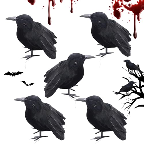 Schwarze Krähe Dekoration, Halloween Krähe Dekorationen, Halloween Krähen Requisite, Krähen Requisite Horror, Realistische Raben Vögel Dekorationen, für Eine Halloween Deko Garten Horror-Party Schwarze Krähe Dekoration, Halloween Krähe Dekorationen, Halloween Krähen Requisite, Krähen Requisite Horror, Realistische Raben Vögel Dekorationen, für Eine Halloween Deko Garten Horror-Party von MaibaoteMbt