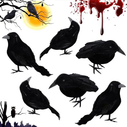 Schwarze Krähe Dekoration, Halloween Krähe Dekorationen, Halloween Krähen Requisite, Krähen Requisite Horror, Realistische Raben Vögel Dekorationen, für Eine Halloween Deko Garten Horror-Party Schwarze Krähe Dekoration, Halloween Krähe Dekorationen, Halloween Krähen Requisite, Krähen Requisite Horror, Realistische Raben Vögel Dekorationen, für Eine Halloween Deko Garten Horror-Party von MaibaoteMbt