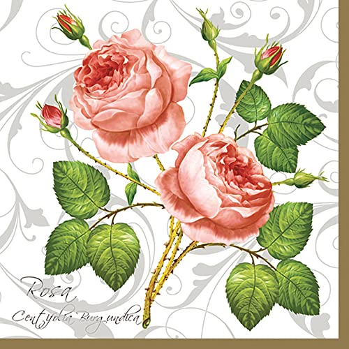 Maki Papierservietten, 3-lagig, Rosen-Design, 33 x 33 cm, 20 Stück, Rosa Centifolia Weiß Maki Papierservietten, 3-lagig, Rosen-Design, 33 x 33 cm, 20 Stück, Rosa Centifolia Weiß von Maki
