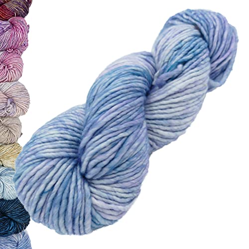 Malabrigo Wolle handgefärbt mulesing frei | Mecha | weiche Merinowolle mit Farbverlauf zum Stricken und Häkeln | 100g 120m (331 Lorelai) von Malabrigo
