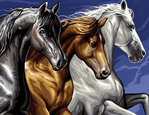 Mammut Spiel & Geschenk 8241040 - Malen nach Zahlen Senior, Wildpferde, Komplettset mit bedruckter Malvorlage im A3 Format, 12 Acrylfarben, Pinsel und Anleitung, großes Malset ab 10 Jahre Mammut Spiel & Geschenk 8241040 - Malen nach Zahlen Senior, Wildpferde, Komplettset mit bedruckter Malvorlage im A3 Format, 12 Acrylfarben, Pinsel und Anleitung, großes Malset ab 10 Jahre von Mammut Spiel & Geschenk