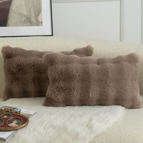 Mandioo 2er Set Luxus Dekorativ dicken Woll Kissenbezug Super Soft Wave Blase Plüschwolle werfen Kissenbezüge Zierkissenbezüge Sofakissen Schlafzimmer Kissenhülle für Sofa 40x60cm TaupeName Mandioo 2er Set Luxus Dekorativ dicken Woll Kissenbezug Super Soft Wave Blase Plüschwolle werfen Kissenbezüge Zierkissenbezüge Sofakissen Schlafzimmer Kissenhülle für Sofa 40x60cm TaupeName von Mandioo