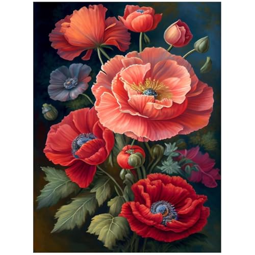 Blume, Malen nach Zahlen, Erwachsene, Mohnblume, Malen nach Zahlen, für die Dekoration des Hauses, 40 x 50 cm Blume, Malen nach Zahlen, Erwachsene, Mohnblume, Malen nach Zahlen, für die Dekoration des Hauses, 40 x 50 cm von Mandun Art