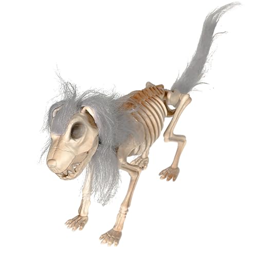 Manolyee Skelett-Hund - Spukhaus Tierfigur,Flexible Schädel Tischdekoration Mit Mähne Gruselig Accessoires Für Halloween Gartendekoration Manolyee Skelett-Hund - Spukhaus Tierfigur,Flexible Schädel Tischdekoration Mit Mähne Gruselig Accessoires Für Halloween Gartendekoration von Manolyee