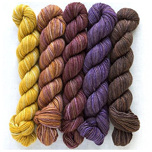Manos del Uruguay Silk Blend Fino Minis Set Fb. Irene, 100g (5x20g) Wolle mit Seide zum Stricken, Merino extrafine + Seide, handgefärbt mit wunderschönem Farbverlauf von Manos del Uruguay Silk Blend