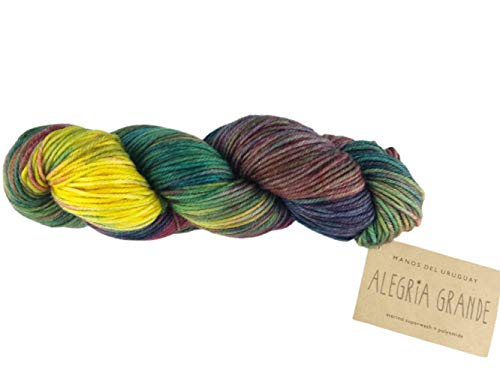 Manos Del Uruguay Garn, Nylon Wolle, Ag8855 Pindo, Einheitsgröße, 180 von Manos del Uruguay