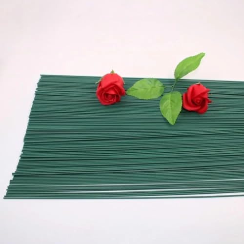 Blumendraht, Blumenstamm Draht,100 Pack Grüne Stiel Draht Blumen Draht Blumengeschäft Steckdraht Floristikdraht für Künstliche Blumen Hochzeit Bouquet Dekorationen Handwerk 2MM*30*cm Blumendraht, Blumenstamm Draht,100 Pack Grüne Stiel Draht Blumen Draht Blumengeschäft Steckdraht Floristikdraht für Künstliche Blumen Hochzeit Bouquet Dekorationen Handwerk 2MM*30*cm von MaoNativey