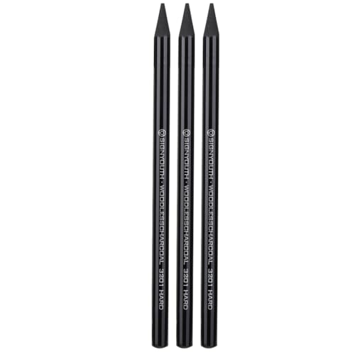 Marhynchus 3pcs Professionelle Holzkohlestifte Set Sketch Stifte Zeichnen Stifte Holzless Carbon -Kern mit Weicher Mittelgroßer Graustufen für Künstler Schüler Anfänger von Marhynchus