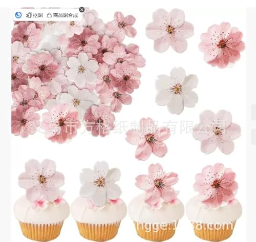 Marjoramy 50 Stück Oblatenpapier Kirschblüten Kuchen Dekorationen, Cupcake Topper, Essbare Blumen für Torte aus Esspapier, Kirschblüten Tortendeko Blumen, Kuchen Deko Geburtstag Kuchendekorationen Marjoramy 50 Stück Oblatenpapier Kirschblüten Kuchen Dekorationen, Cupcake Topper, Essbare Blumen für Torte aus Esspapier, Kirschblüten Tortendeko Blumen, Kuchen Deko Geburtstag Kuchendekorationen von Marjoramy