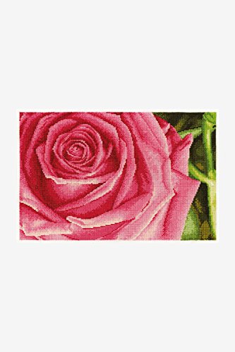 DMC Pink Rose Set, 100% Baumwolle, Mehrfarbig von DMC