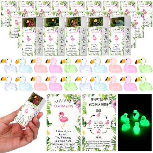 Marsui 50 Stück Flamingos Wertschätzungsgeschenke für Mitarbeiter, Großpackung, Mini-Flamingos, Partygeschenke, Teambildung, emotionale Unterstützung, Harz, winziges Taschentier für Mitarbeiter Marsui 50 Stück Flamingos Wertschätzungsgeschenke für Mitarbeiter, Großpackung, Mini-Flamingos, Partygeschenke, Teambildung, emotionale Unterstützung, Harz, winziges Taschentier für Mitarbeiter von Marsui