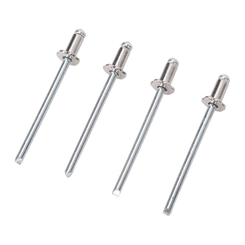 4PCS Aluminium Rosette Nieten Hochfestig Rostfeste, Lange Ersatz für AMC Vin Door -Tag (Silber) von MasYosh