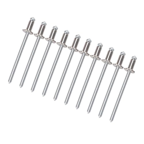 8pcs Rose Nieten Aluminium Rostfeste Autos Rosenförmige Nieten für AMC Vin Door -Tag Alle Fahrzeuge (Silber) von MasYosh