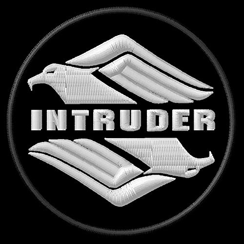 Masterpatch Suz Intruder Double Eagle Patch für Suzuki Intruder Bikers 800 1400 1800 Motorrad Motorrad Aufnäher Parche Bordado Brodé Patch écusson Toppa Ricamata von Masterpatch