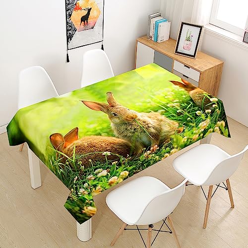 Mateju 3D Kaninchen Tischdecke Abwaschbar Gartentischdecke, Outdoor Indoor Tischdecke Eckig Tischdecken Tischtuch, Tisch Schutz für Geburtstag Hochzeit Festival (140x180cm,I) von Mateju