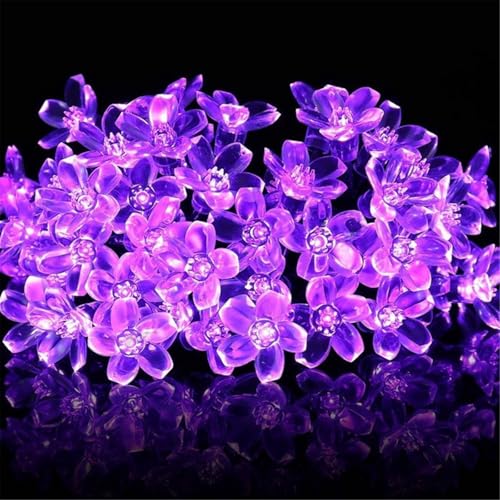 Mateju LED Lichterkette Außen Solar, Solar Lichterkette Aussen mit Fernbedienung 8 Modi Outdoor Solarlichterkette für Innen, Garten, Terrasse, Balkon, Hochzeit, Blumen (Lila,5M/20LED) von Mateju