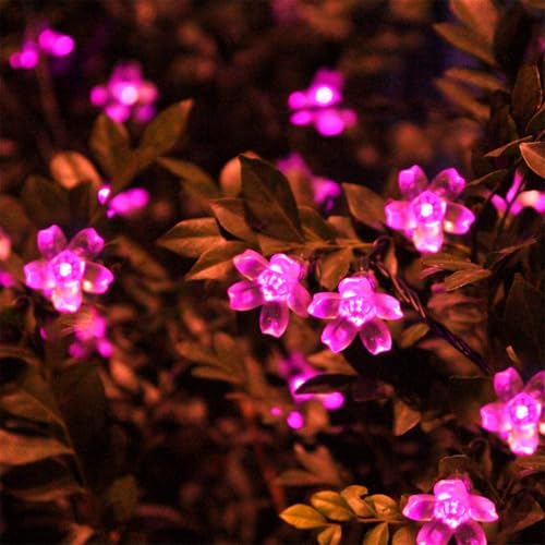 Mateju LED Lichterkette Außen Solar, Solar Lichterkette Aussen mit Fernbedienung 8 Modi Outdoor Solarlichterkette für Innen, Garten, Terrasse, Balkon, Hochzeit, Blumen (Rosa,7M/50LED) von Mateju