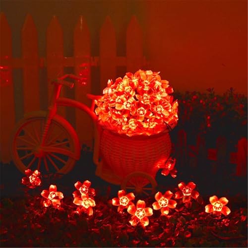 Mateju LED Lichterkette Außen Solar, Solar Lichterkette Aussen mit Fernbedienung 8 Modi Outdoor Solarlichterkette für Innen, Garten, Terrasse, Balkon, Hochzeit, Blumen (Rot,10M/50LED) von Mateju