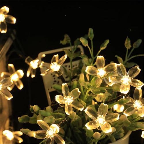 Mateju LED Lichterkette Außen Solar, Solar Lichterkette Aussen mit Fernbedienung 8 Modi Outdoor Solarlichterkette für Innen, Garten, Terrasse, Balkon, Hochzeit, Blumen (Warm,6.5M/30LED) von Mateju