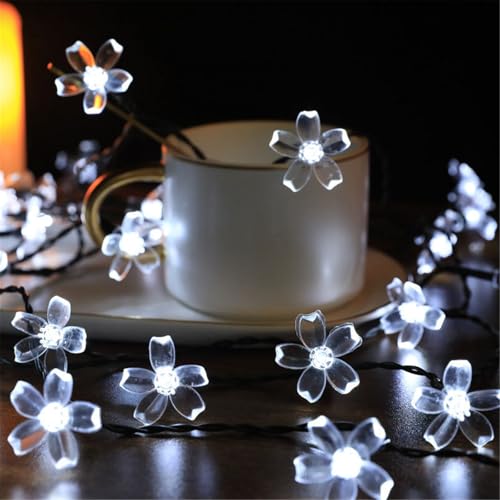 Mateju LED Lichterkette Außen Solar, Solar Lichterkette Aussen mit Fernbedienung 8 Modi Outdoor Solarlichterkette für Innen, Garten, Terrasse, Balkon, Hochzeit, Blumen (Weiß,7M/50LED) von Mateju
