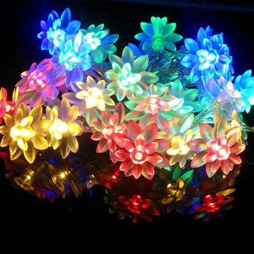 Mateju LED Lichterkette Außen Solar, Solar Lichterkette Aussen mit Fernbedienung 8 Modi Solarlichterkette Outdoor für Innen, Garten, Terrasse, Balkon, Hochzeit (Farbige Blumen,7M/50LED) von Mateju