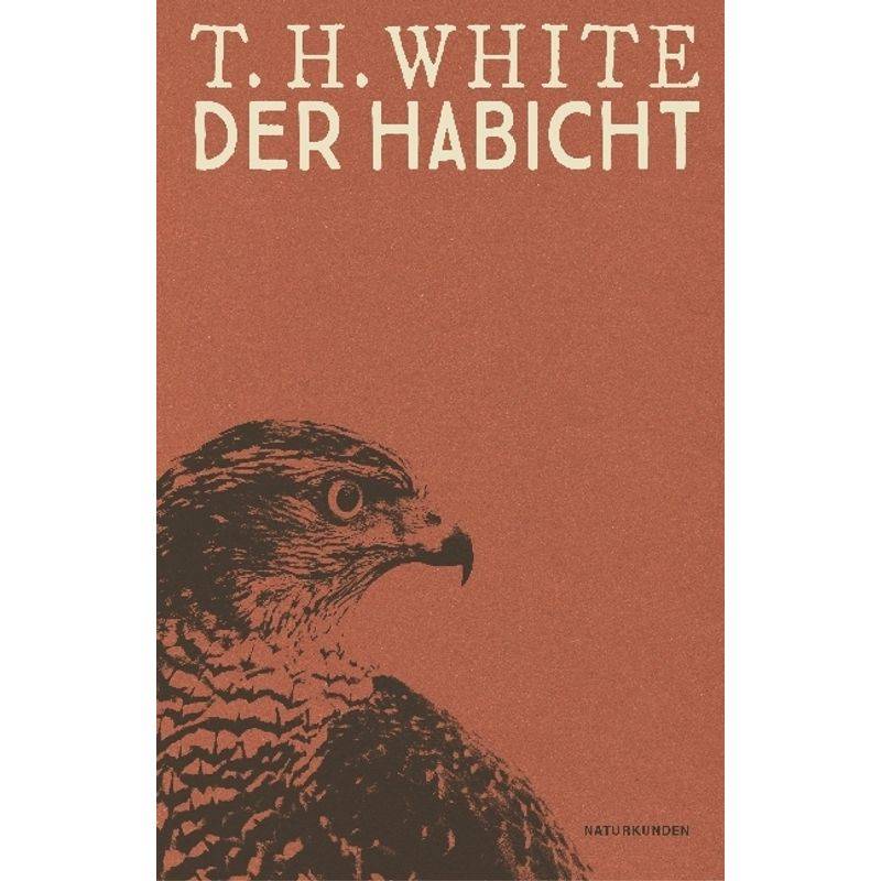 Der Habicht - Terence H. White, Gebunden von Matthes & Seitz Berlin