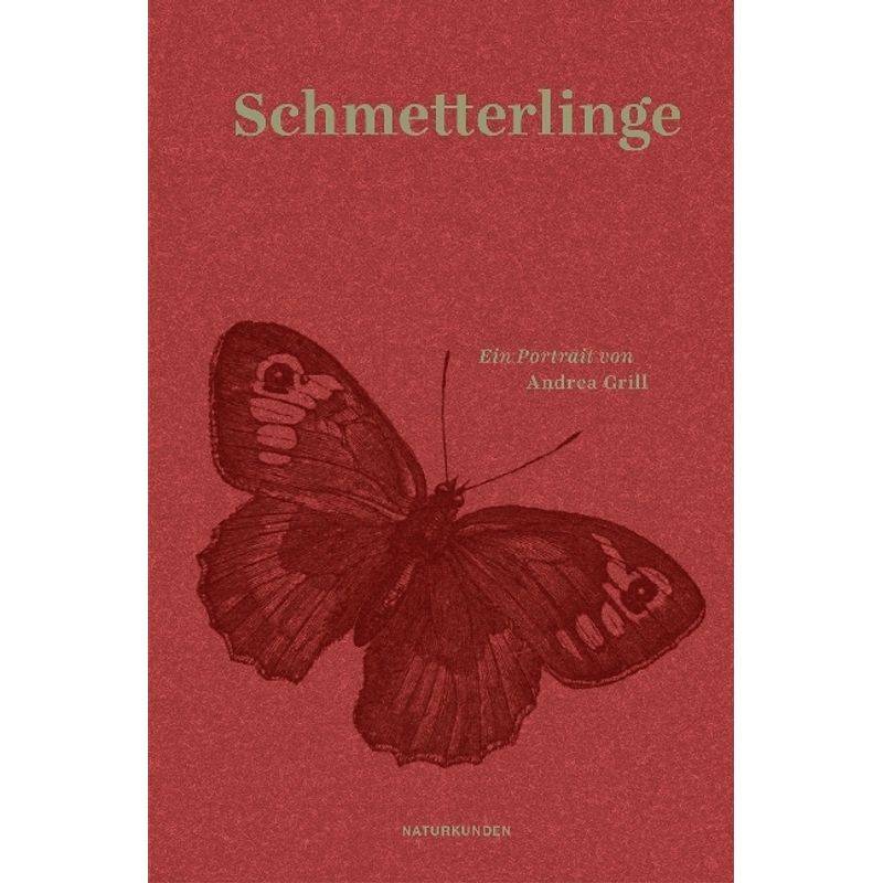 Schmetterlinge - Andrea Grill, Gebunden von Matthes & Seitz Berlin