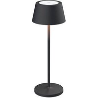 MAUL MAULnina LED-Akku-Tischleuchte grau MAUL MAULnina LED-Akku-Tischleuchte grau von Maul